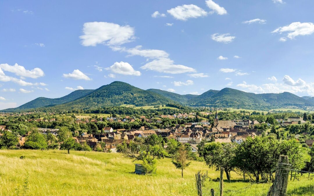 Découvrir l’Alsace et sa natureAutour des lacs d’Alsace