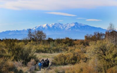 Sur la route des vacances entre Nîmes et Perpignan