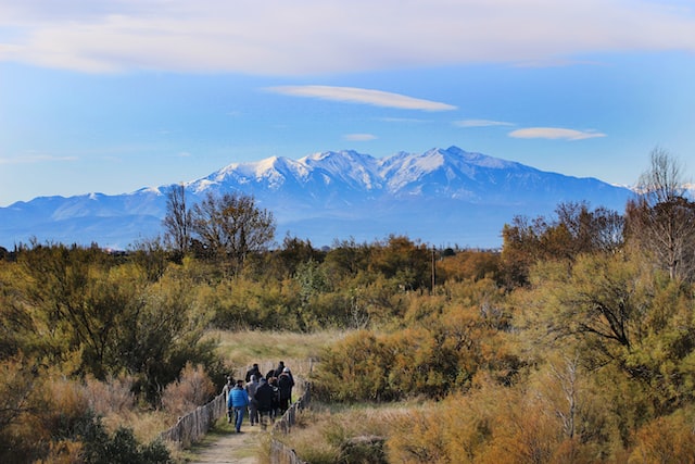 Sur la route des vacances entre Nîmes et Perpignan