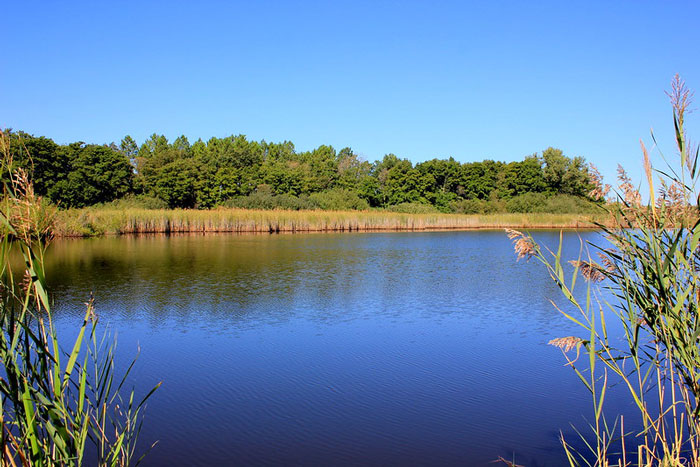 La Plaine des Maures