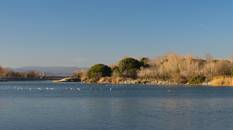 Les Étangs de Villepey à Fréjus