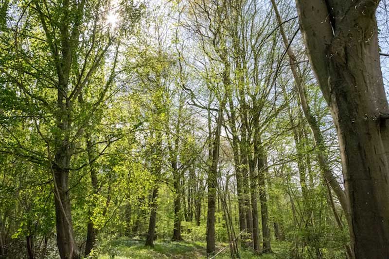 parc_naturel_regional_des_boucles_de_la_seine_ 2ème arrêt sur l'itinéraire : le parc naturel régional des Boucles de la Seine