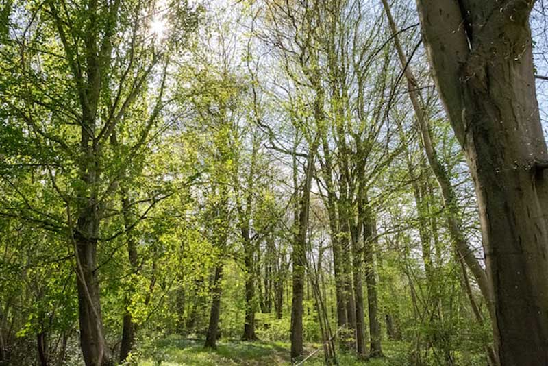 2ème arrêt sur l'itinéraire : le parc naturel régional des Boucles de la Seine