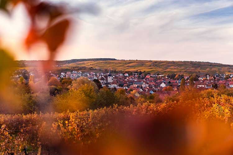 A la découverte de l'Alsace