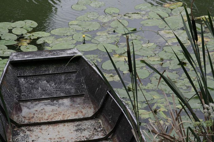 A la découverte du Marais poitevin 