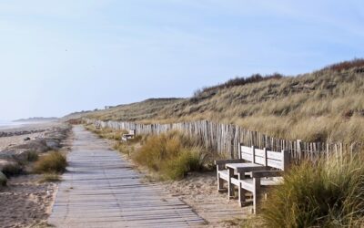 Le tour de l’île de Ré à vélo à faire absolument