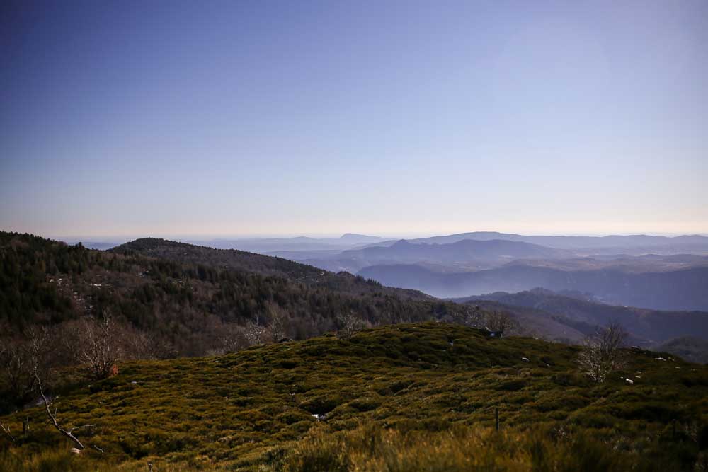 pic saint loup