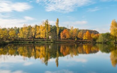 Visiter Vienne en France : un jour pour 11 activités