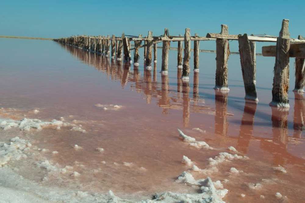 aigues mortes salins