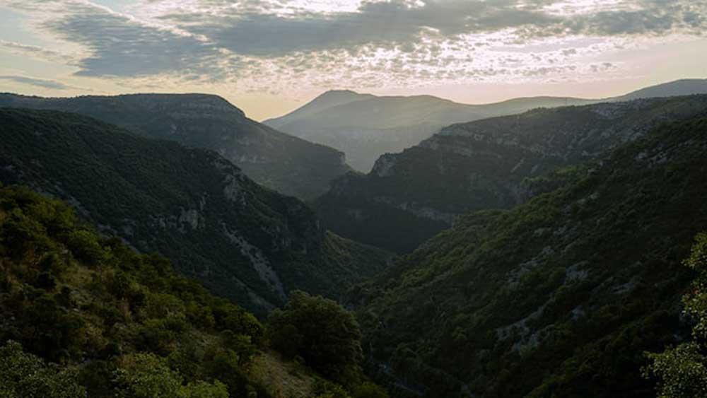 La Bambouseraie en Cévennes