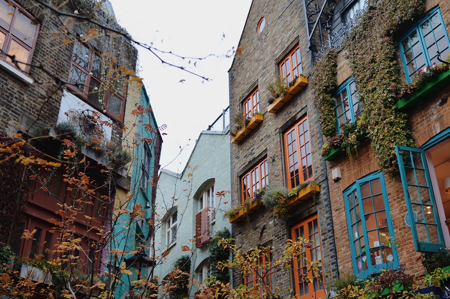 konstantina-zag-rPO2yngb00Y-unsplash neals yard