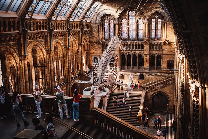 stephen-kidd-8cF7iJ5iFh8-unsplash musée histoire naturelle
