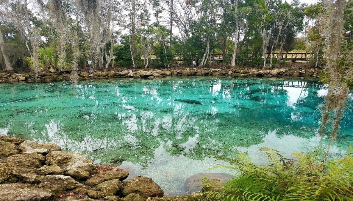 Cristal River