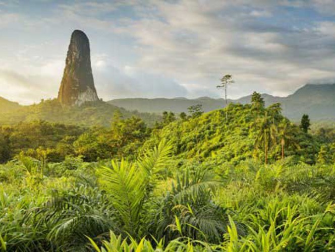 Parc national d'Obo