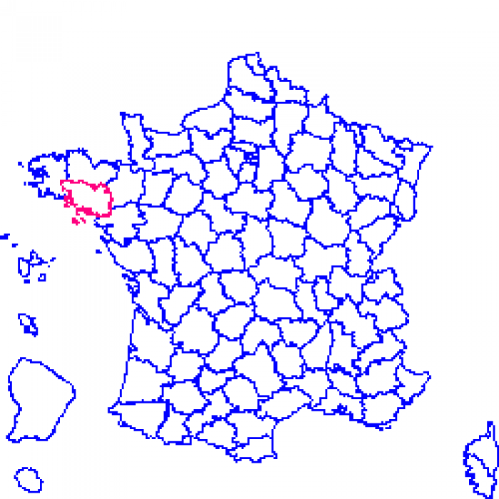 Morbihan sur la carte de france 56 sur la carte de france