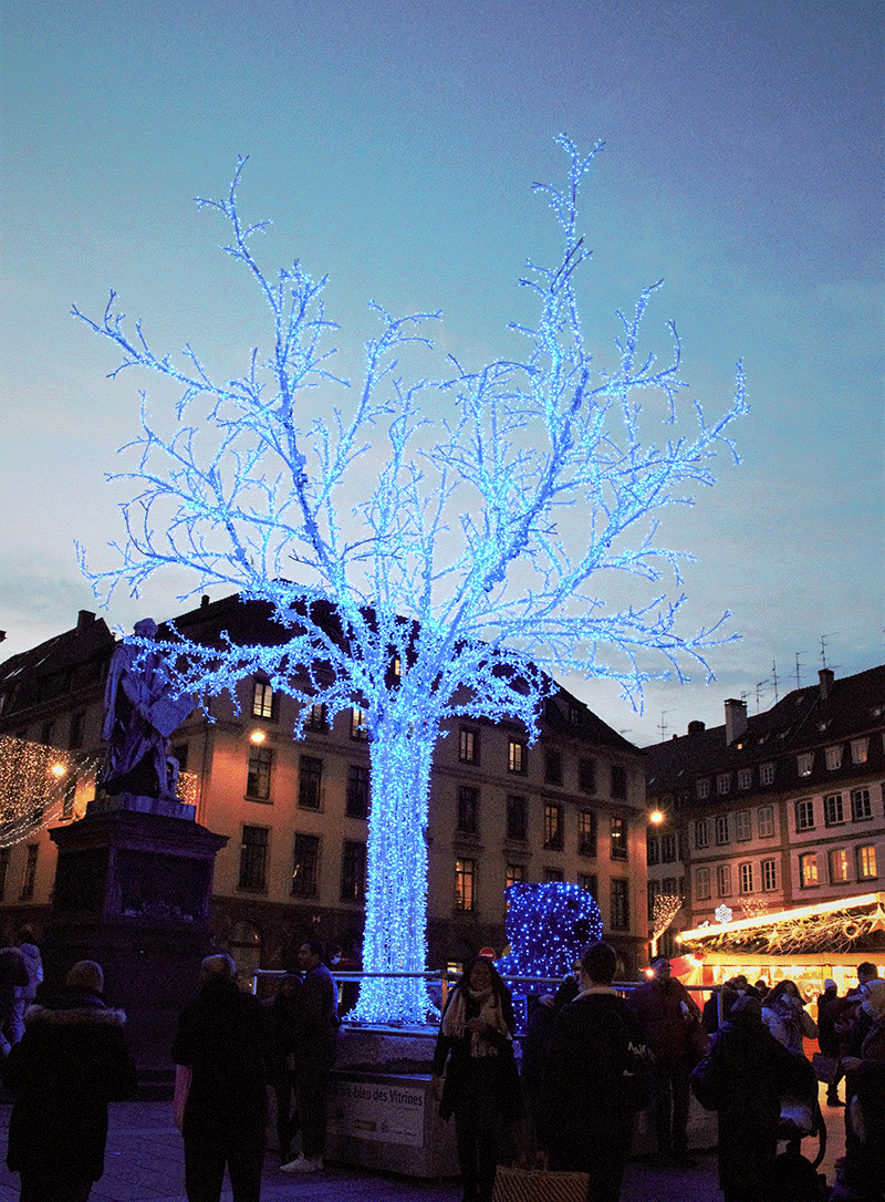 Place Gutenberg Arbre bleu